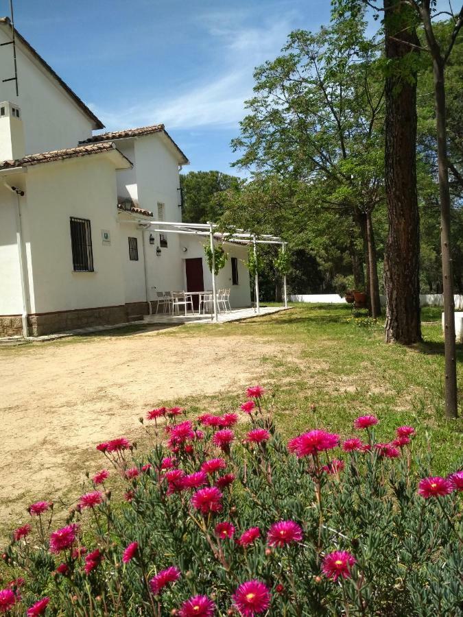 Villa Viña Concepción Andújar Exterior foto